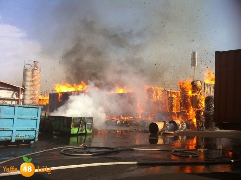 fireludkartoonmasna34 (1).jpg